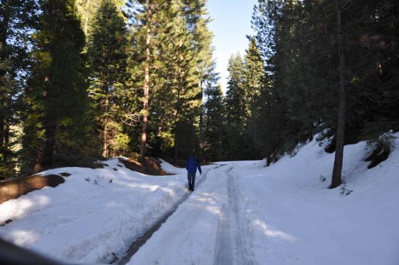 Estrada interrompida pela neve no Kings Canyon National Park,  na Califórnia - EUA